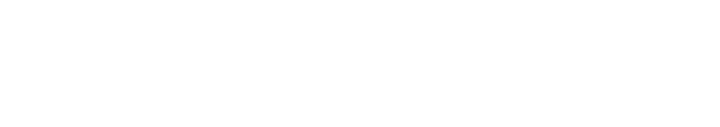 MSS Logo Inverse